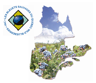 Employeur en vedette : Groupe Bleuets sauvages du Québec