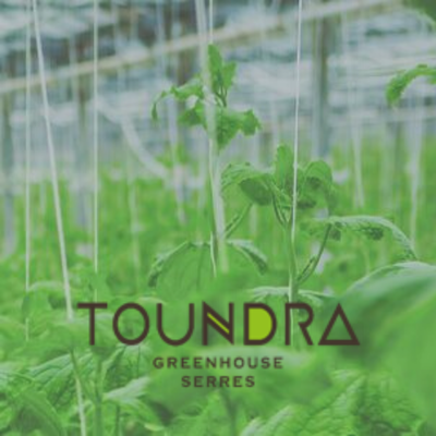 Employeur en vedette : les Serres Toundra